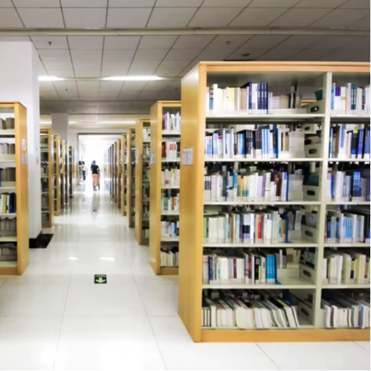 Factory Direct Double-Sided Bo - đánh giá và giá Home Office With Library